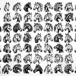 May include: A collection of 64 black and white line drawings of horse heads. Each horse head is depicted in a different pose and with different facial expressions.