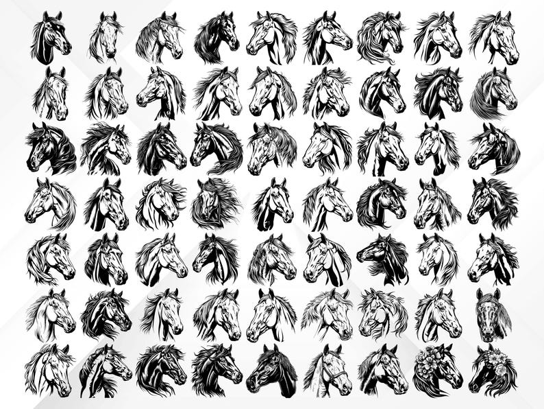 May include: A collection of 64 black and white line drawings of horse heads. Each horse head is depicted in a different pose and with different facial expressions.