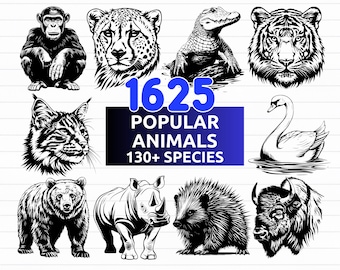 May include: Black and white illustrations of various animals, including a chimpanzee, cheetah, alligator, tiger, lynx, bear, rhinoceros, hedgehog, swan, and bison. The image includes the text "1625 POPULAR ANIMALS 130+ SPECIES" and file type options.