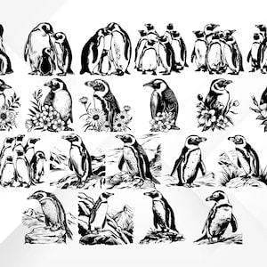 May include: A collection of 20 black and white illustrations of penguins in various poses. Some penguins are standing, some are swimming, and some are cuddling. The illustrations are simple and elegant, and they would be perfect for use in a variety of projects.