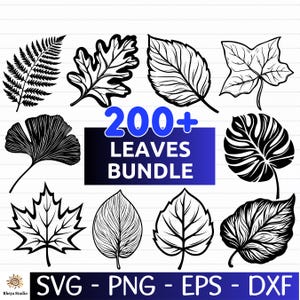May include: A collection of black and white leaf illustrations, including fern, oak, and maple leaves. The image features the text "200+ LEAVES BUNDLE" in blue and white, along with file type indicators: SVG, PNG, EPS, and DXF.