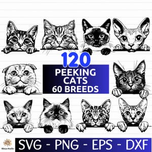 Puede incluir: Una descarga digital de 120 ilustraciones en blanco y negro de gatos asomándose. El texto "120 Peeking Cats 60 Breeds" está en el centro de la imagen. La imagen también incluye el texto "SVG - PNG - EPS - DXF".