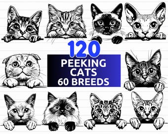 120 Peeking Cat SVG Bundle, 60 Cat Breeds SVG, Cat Breed Silhouettes & Clipart, Peeking Pet Designs - digital download svg, png, dxf, eps