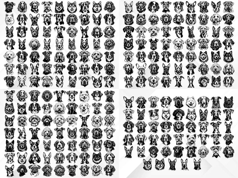 May include: A black and white illustration of 100 different dog breeds. Each dog is drawn in a simple, stylized manner, with a focus on their unique facial features.