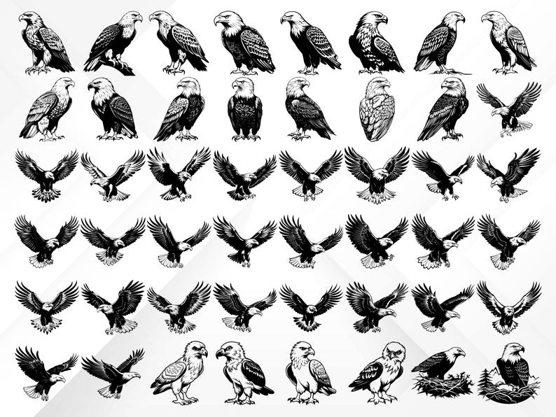 May include: A collection of black and white illustrations of bald eagles in various poses, including flying, perched, and with wings spread. The eagles are depicted in a realistic style with detailed feathers and sharp talons.