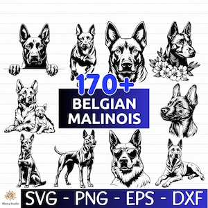 以下が含まれることがあります： 様々なポーズのベルジアン・マリノア犬の白黒イラストのコレクション。画像には、青い背景に「170+ BELGIAN MALINOIS」というテキストと、ファイルタイプインジケーター（SVG、PNG、EPS、DXF）が含まれています。