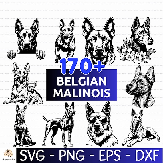 170+ Belgian Malinois Dog SVG Bundle, Dog Silhouette & Clipart Designs - digital download svg, png, dxf, png, svg files for Cricut