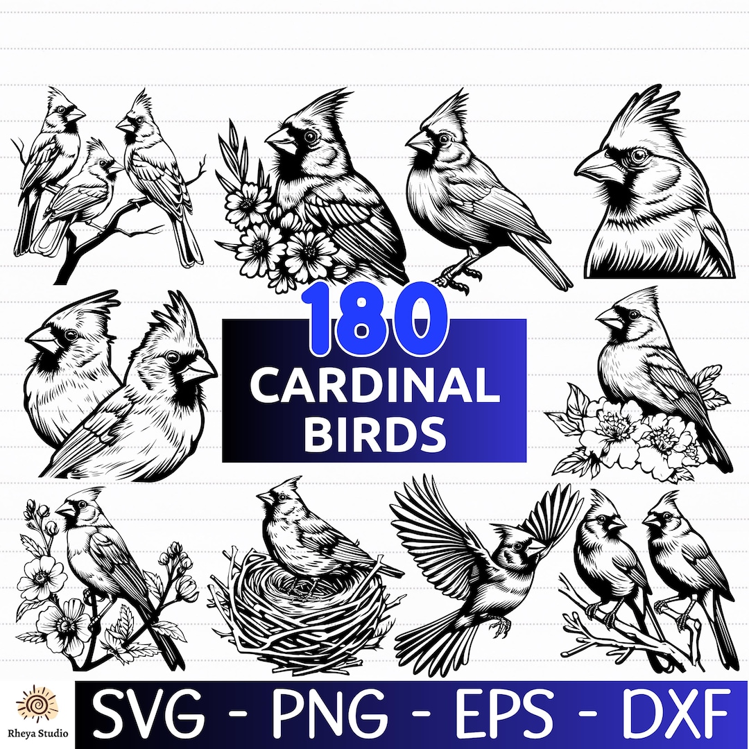 180 Cardinal Bird SVG Bundle, Cardinal Bird Vector, Bird Silhouette ...