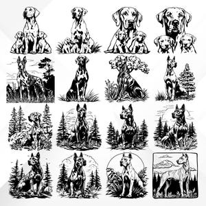 Puede incluir: Un conjunto de 12 ilustraciones en blanco y negro de Doberman Pinschers en varias poses. Algunos perros est&aacute;n de pie, sentados o acostados. Algunos est&aacute;n con cachorros. Algunos est&aacute;n en un entorno de bosque.