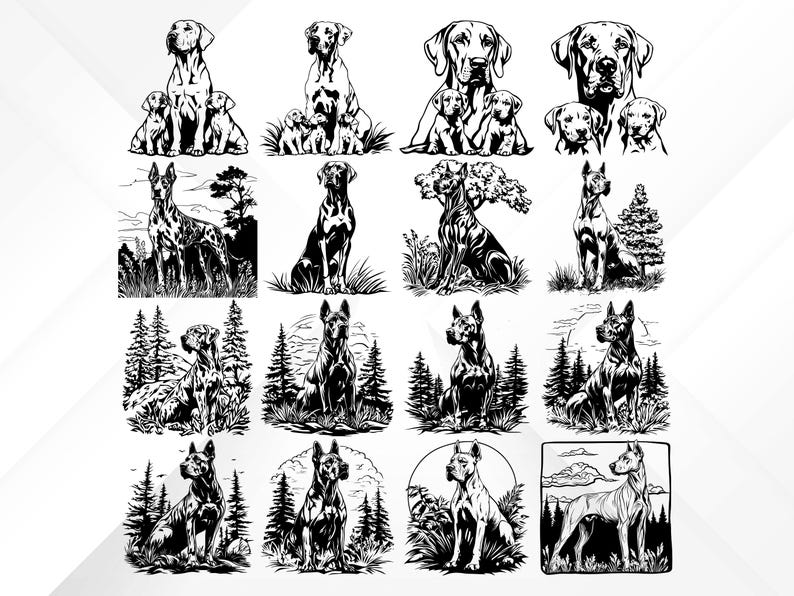 Puede incluir: Un conjunto de 12 ilustraciones en blanco y negro de Doberman Pinschers en varias poses. Algunos perros est&aacute;n de pie, sentados o acostados. Algunos est&aacute;n con cachorros. Algunos est&aacute;n en un entorno de bosque.
