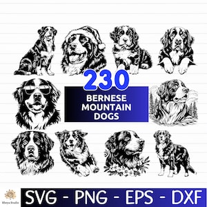 Könnte beinhalten: Eine Sammlung von Schwarz-Weiß-Illustrationen von Berner Sennenhunden. Das Bild enthält den Text "230 Bernese Mountain Dogs" in Blau sowie die Dateitypoptionen: SVG, PNG, EPS und DXF. Die Illustrationen zeigen verschiedene Posen.
