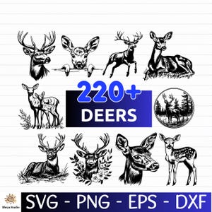 Könnte beinhalten: Eine Sammlung von Schwarz-Weiß-Illustrationen von Hirschen in verschiedenen Posen, einige mit Geweihen. Der Text "220+ DEERS" ist enthalten, zusammen mit den Dateityp-Optionen: SVG, PNG, EPS und DXF.