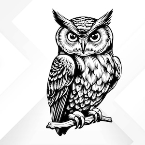 May include: Black and white illustration of an owl with detailed feathers and a fierce expression. The owl is perched on a branch with its wings folded.