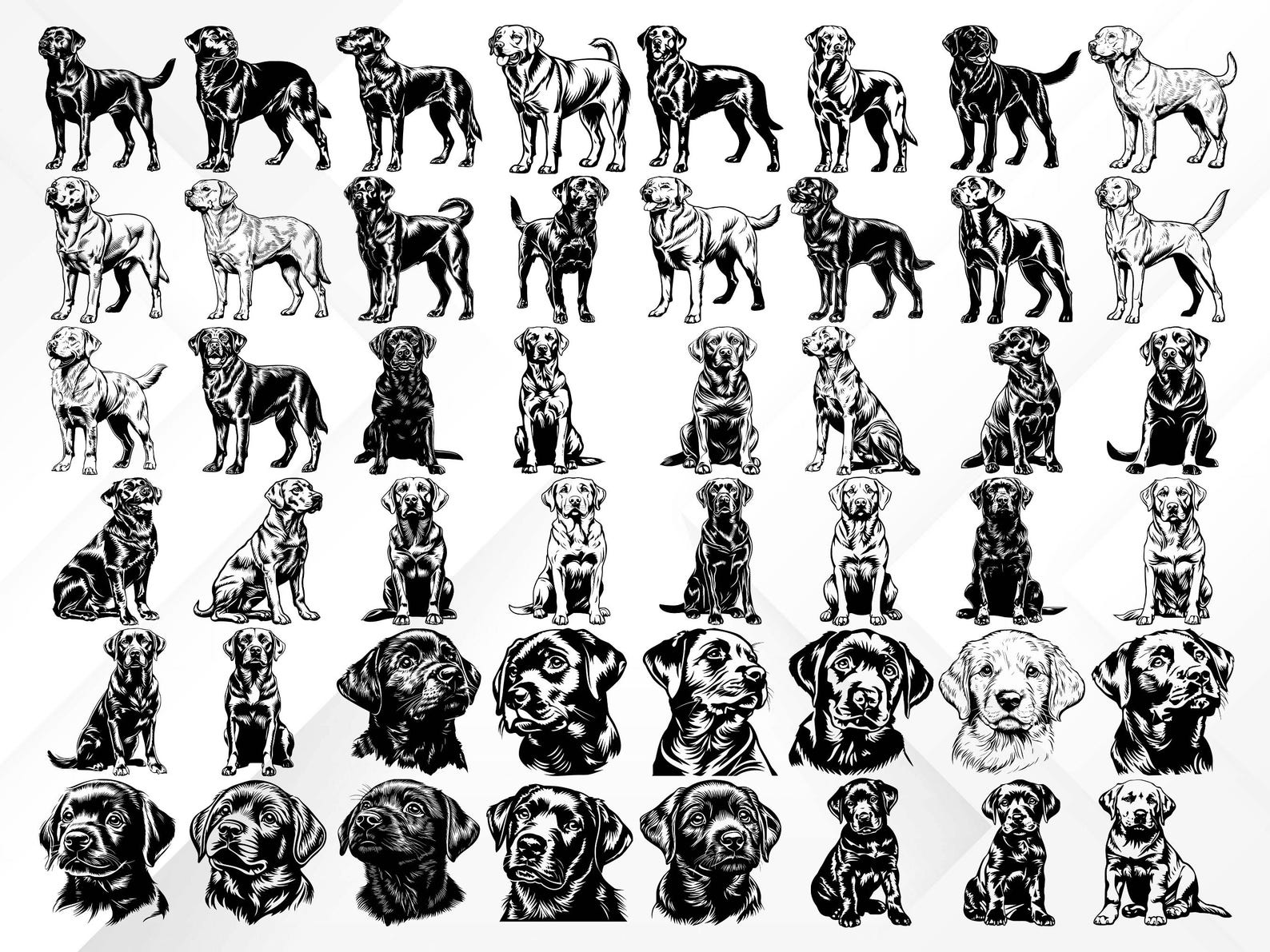 207 Labrador Retriever SVG Bundle | Hunting Dog Silhouettes & Clipart ...