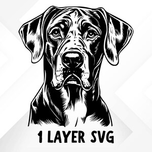 Puede incluir: Ilustraci&oacute;n en blanco y negro de la cabeza de un perro Bloodhound. El perro tiene una expresi&oacute;n seria y sus orejas son ca&iacute;das. La imagen est&aacute; etiquetada como "1 LAYER SVG".
