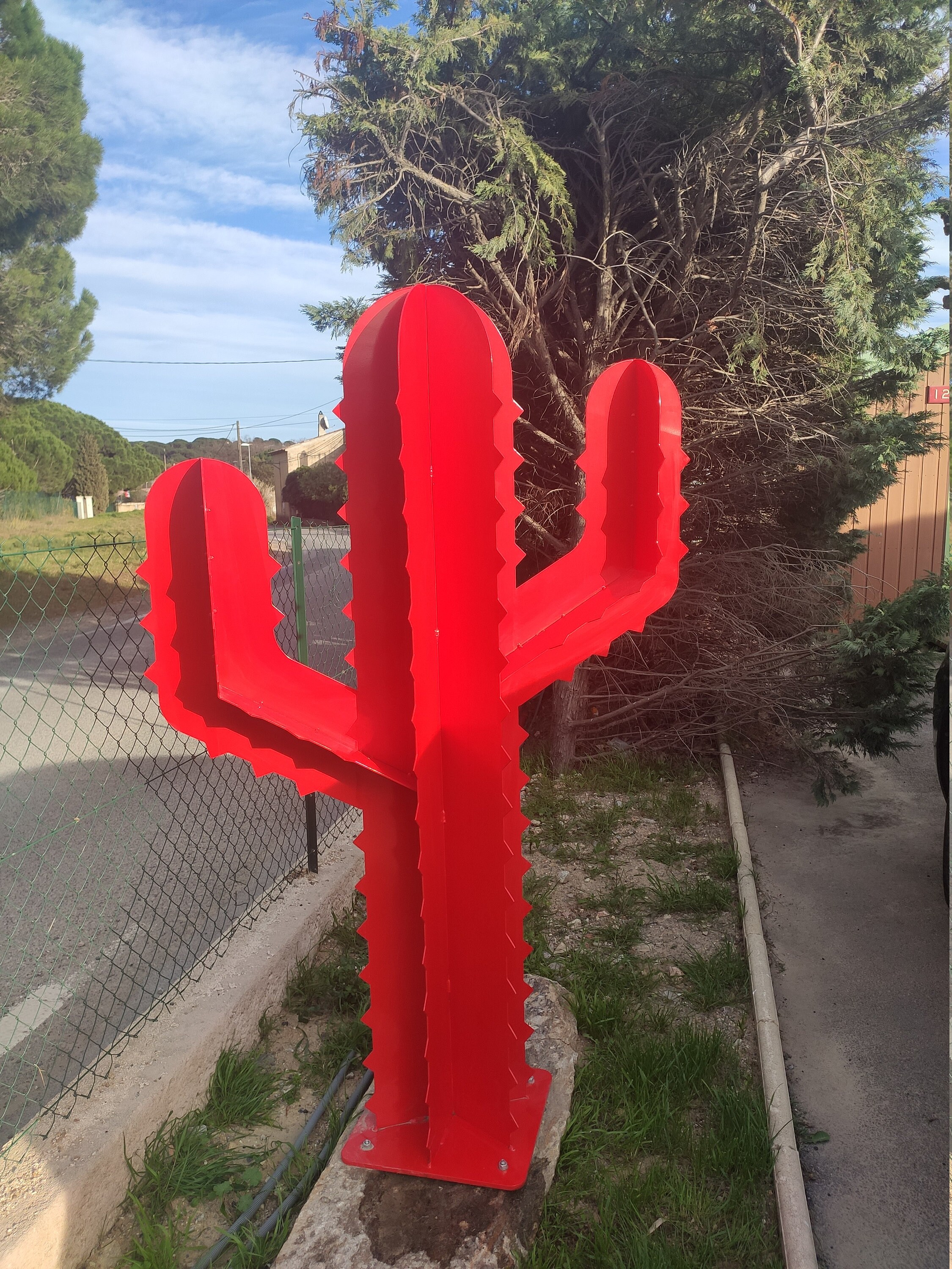 Cactus sur Mesure
