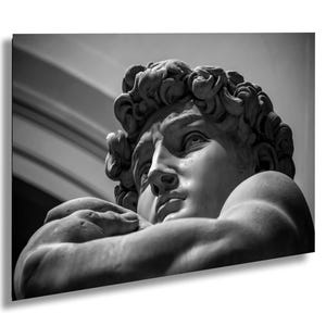 David Michelangelo souvenir michelangelo gift poster Statue Wall Art black and white David head European culture Italian Renaissance art
