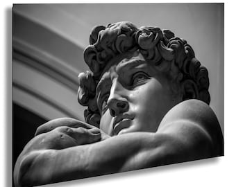 Michelangelo's David Statue Poster: Italian Renaissance Wall Art