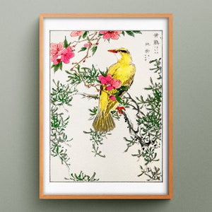 Parula cinese e pesca cadente di Numata Kashu, stampa d&#39;arte giapponese d&#39;epoca