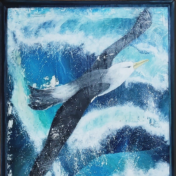 Albatros - König der Lüfte