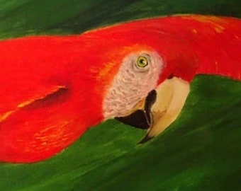 Macaw in RedBlue
