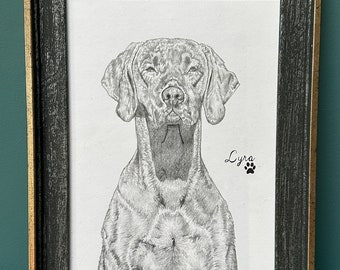 A4 CUSTOMISED Hand Drawn PET Sketch in Pencil- single subject either Cat or Dog