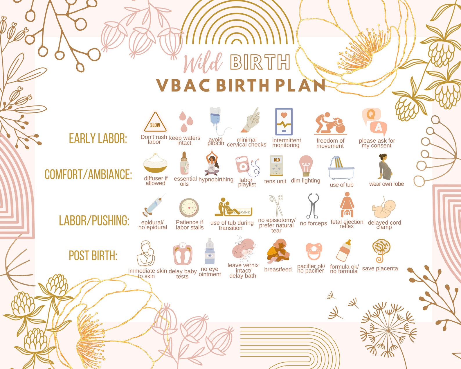 VBAC Birth Plan L Printable Birth Template L Fear Free Birth L Etsy