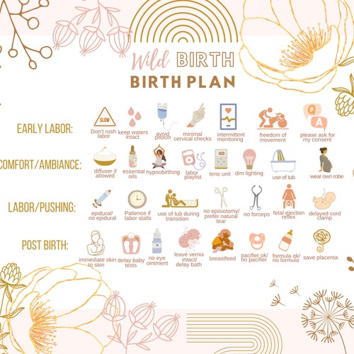 Custom Visual Birth Plan™ - Etsy