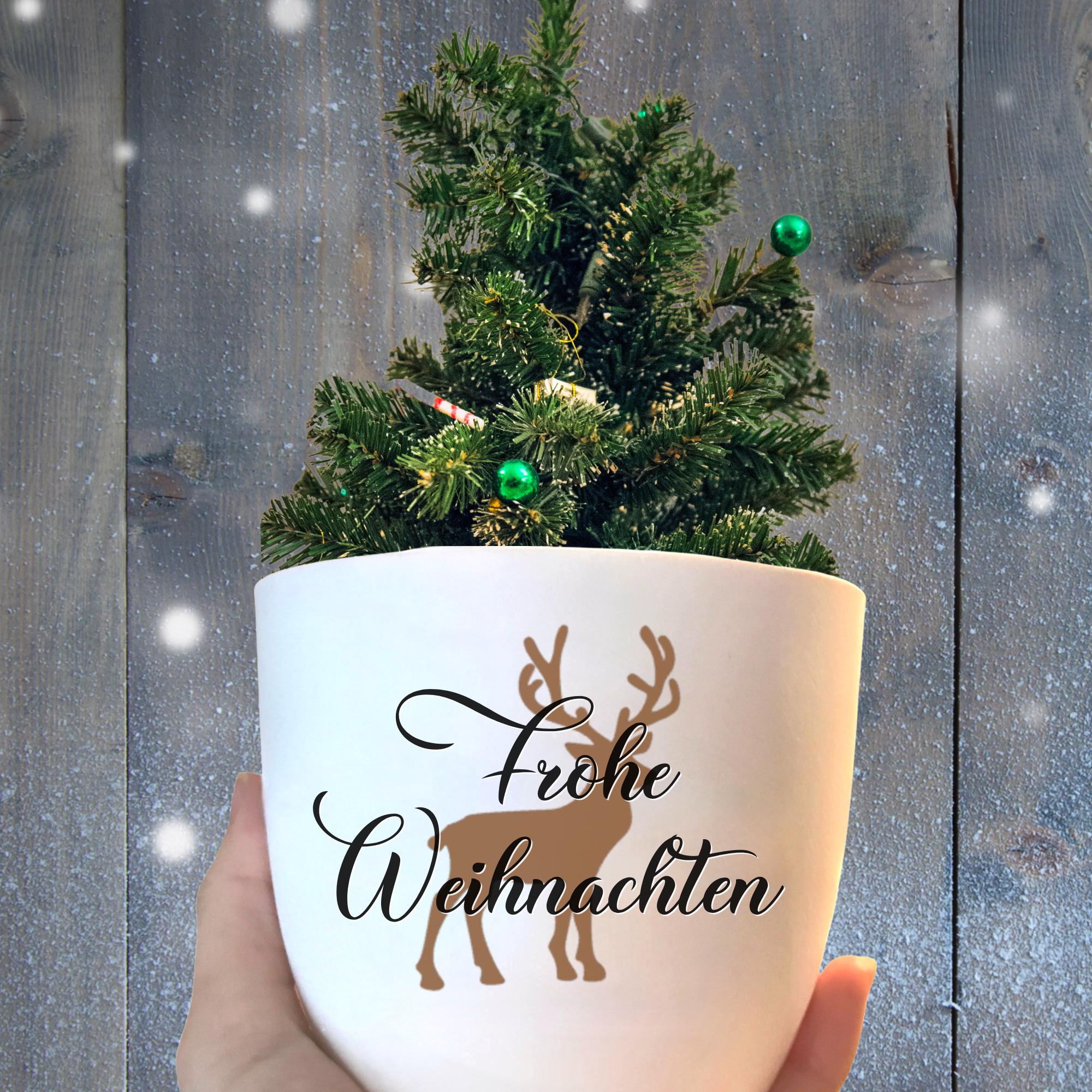 Weihnachten blumentopf
