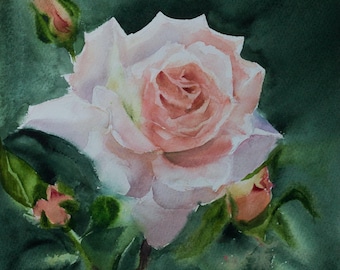 オリジナルのピンクのバラの水彩画：花のボタニカルアート（13.7x19.5