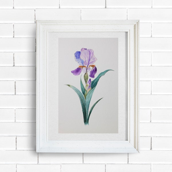 Iris Artwork - Etsy