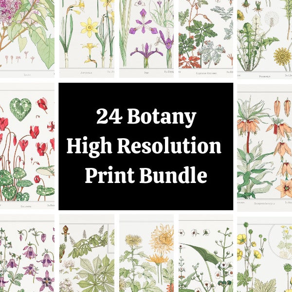 24 High Resolution Botany Flower Prints Illustrated by Maurice Pillard Verneuil 300 DPi JPG Instant Download Printable Wall Art