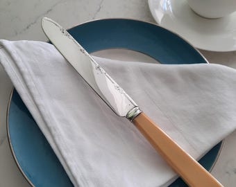 Vintage Silver Plated Cake Slice, Composite Handle, Sheffield England