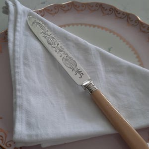 May include: A silver butter knife with an ornate floral design on the blade, placed on a white linen napkin. The knife has a light tan handle and rests on a pink plate with a gold rim.