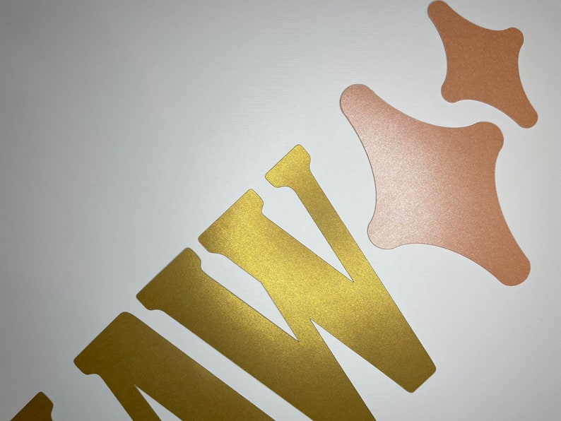Decorazioni per feste di addio al nubilato occidentali – Stesso Cowboy Forever Banner Oro Glitter Hot Pink Cowgirl Garland per Nashville Fidanzamento, forniture per feste di addio al nubilato