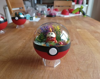 Hausgemachte Pokémon Pokeballs Terrarien - fuecoco Pokemon .