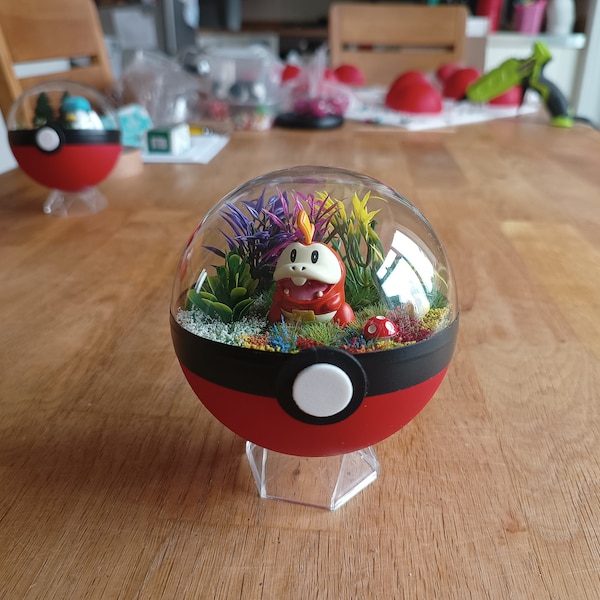 Homemade Pokémon Pokeballs Terrariums - fuecoco . Pokemon .