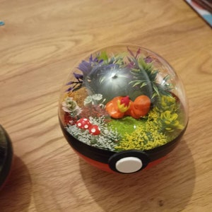 Pikachu, Glumanda, Bisasam oder Schiggy Handmade Pokémon Pokeball Terrarium. Pokemon, Pokeballs, geeky Geschenk. Sleeping Charmander