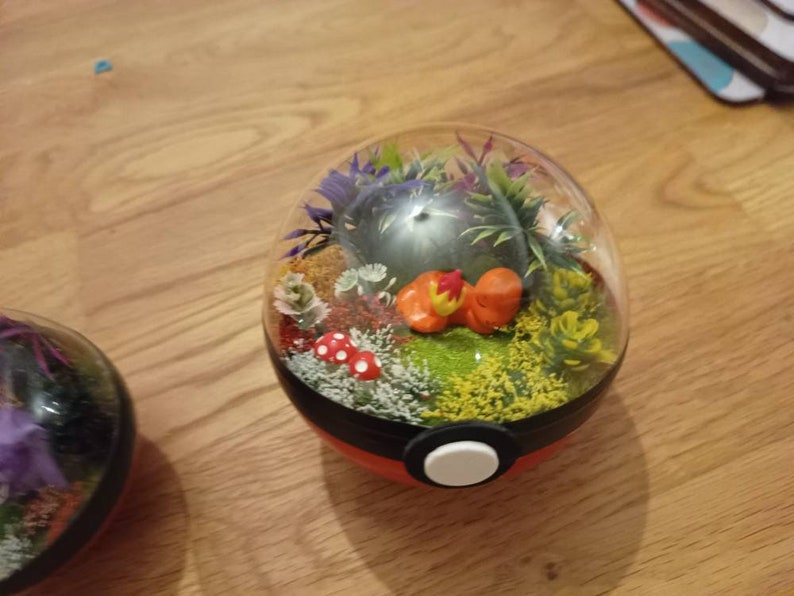 Pikachu, Glumanda, Bisasam oder Schiggy Handmade Pokémon Pokeball Terrarium. Pokemon, Pokeballs, geeky Geschenk. Sleeping Charmander