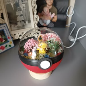 Pikachu, Glumanda, Bisasam oder Schiggy Handmade Pokémon Pokeball Terrarium. Pokemon, Pokeballs, geeky Geschenk. Pikachu - Eevee coat