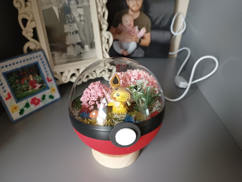 Pikachu, Glumanda, Bisasam oder Schiggy Handmade Pokémon Pokeball Terrarium. Pokemon, Pokeballs, geeky Geschenk. Pikachu - Eevee coat