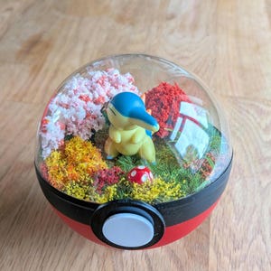 Cyndaquil Handmade Pokémon Pokeball Terrarium. Pokemon , Pokeballs , geeky gift.