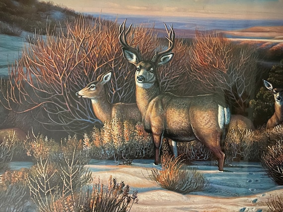 John C Green Wildlife Art Print: Sentinel of Sage, Ducks Unlimited