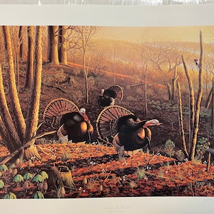 May include: A print depicting wild turkeys in a forest setting. The turkeys are in the foreground with their tail feathers fanned out. The background shows trees and a distant view of a body of water. The artwork is signed.