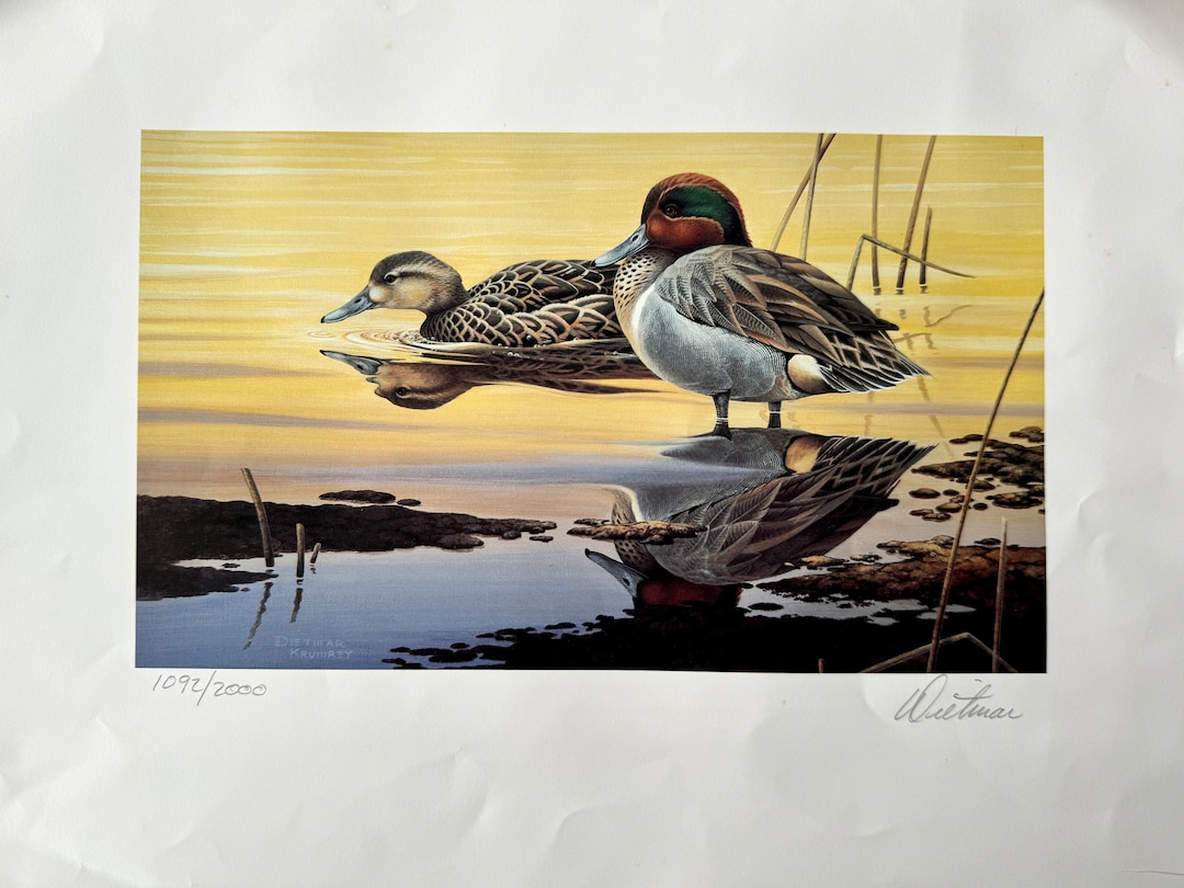 邦楽 Blahrmy Duck's Moss Village dlip record BLAHRMY - A REPORT OF THE BIRDSTRIKE [CD] DLIP RECORDS (2012