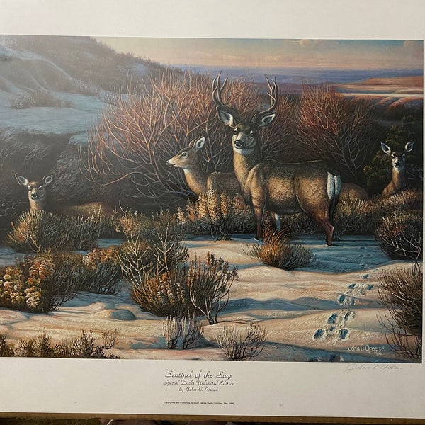 Limited Edition Print 'Sentinel Of Sage'  John C Green 1986 Special South Dakota Ducks Unlimited Edition 839/1500