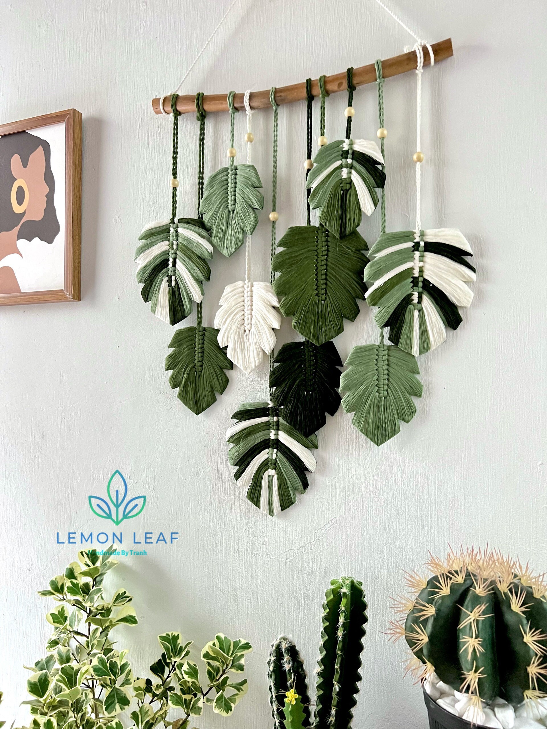 bouturer philodendron Philodendron 'Brown Beauty' ('Black Billietiae' x 'Florida Beauty') (w
