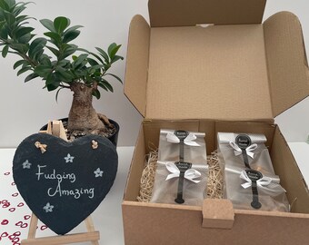 Homemade Large Fudge Hamper:  Gift Set, 4 Flavours 600g