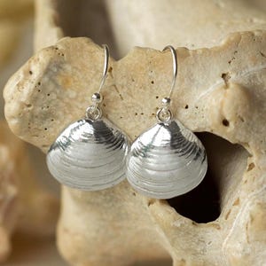Silver Venus Clam Shell Pendant Earrings: Handmade Beach Shell Drop Hook Earrings