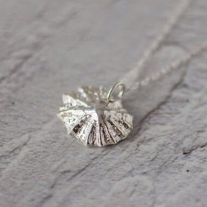 Silver Shell Pendant Necklace, Dainty Limpet Shell, Nature Lover Gift, Handmade In The UK